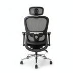 Aerovith Ergonomic Mesh Office Chair Black back View Professional Workspace