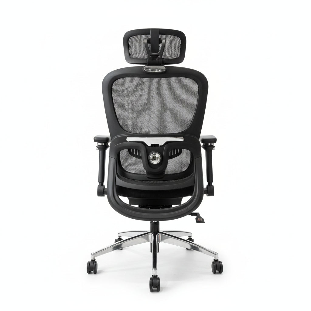 Aerovith Ergonomic Mesh Office Chair Black back View Professional Workspace