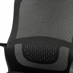 Ergonomic Black Mesh Office Chair back mesh