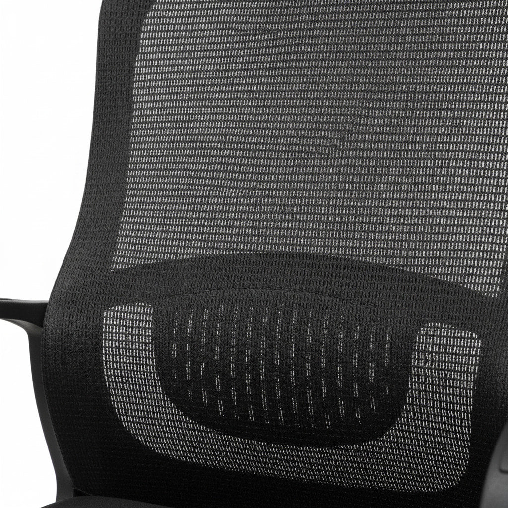 Ergonomic Black Mesh Office Chair back mesh