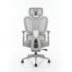 Ergonomic Grey Mesh Office Chair back View Light Workspace