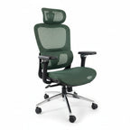 Aerovith Ergonomic Mesh Office Chair Green 45 Degree Angle Home Office Desk
